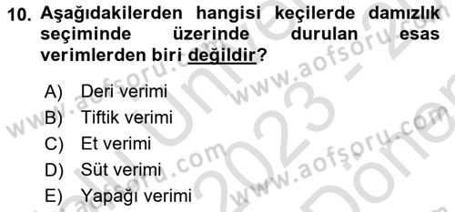Hayvan Yetiştirme Dersi 2023 - 2024 Yılı (Final) Dönem Sonu Sınav Soruları 10. Soru
