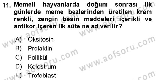 Hayvan Yetiştirme Dersi 2023 - 2024 Yılı (Final) Dönem Sonu Sınav Soruları 11. Soru