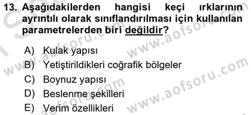 Hayvan Yetiştirme Dersi 2023 - 2024 Yılı (Final) Dönem Sonu Sınav Soruları 13. Soru