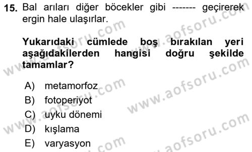 Hayvan Yetiştirme Dersi 2023 - 2024 Yılı (Final) Dönem Sonu Sınav Soruları 15. Soru