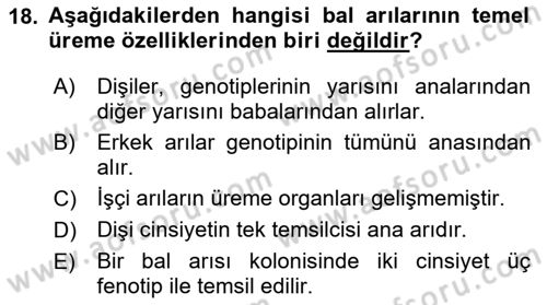 Hayvan Yetiştirme Dersi 2023 - 2024 Yılı (Final) Dönem Sonu Sınav Soruları 18. Soru