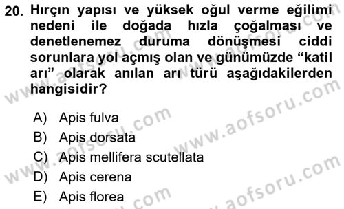 Hayvan Yetiştirme Dersi 2023 - 2024 Yılı (Final) Dönem Sonu Sınav Soruları 20. Soru