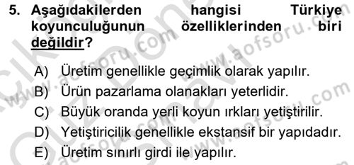 Hayvan Yetiştirme Dersi 2023 - 2024 Yılı (Final) Dönem Sonu Sınav Soruları 5. Soru