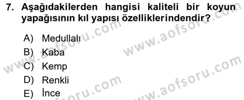 Hayvan Yetiştirme Dersi 2023 - 2024 Yılı (Final) Dönem Sonu Sınav Soruları 7. Soru