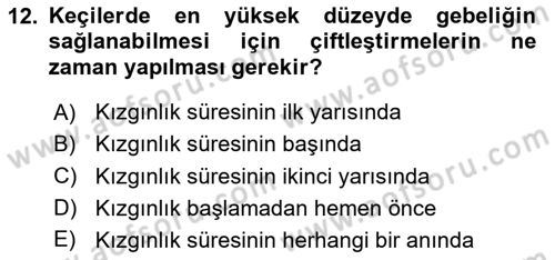 Hayvan Yetiştirme Dersi 2023 - 2024 Yılı Yaz Okulu Sınav Soruları 12. Soru