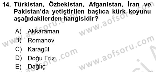Hayvan Yetiştirme Dersi 2023 - 2024 Yılı Yaz Okulu Sınav Soruları 14. Soru