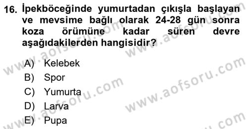 Hayvan Yetiştirme Dersi 2023 - 2024 Yılı Yaz Okulu Sınav Soruları 16. Soru