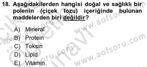 Hayvan Yetiştirme Dersi 2023 - 2024 Yılı Yaz Okulu Sınav Soruları 18. Soru
