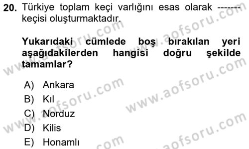 Hayvan Yetiştirme Dersi 2023 - 2024 Yılı Yaz Okulu Sınav Soruları 20. Soru