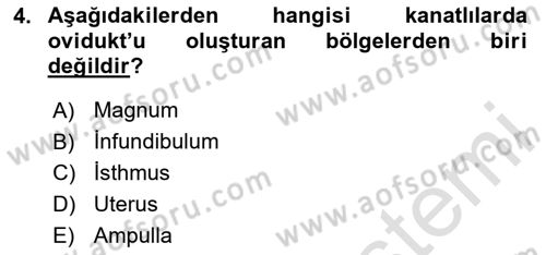 Hayvan Yetiştirme Dersi 2023 - 2024 Yılı Yaz Okulu Sınav Soruları 4. Soru