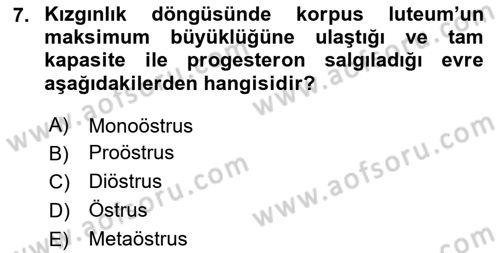 Hayvan Yetiştirme Dersi 2023 - 2024 Yılı Yaz Okulu Sınav Soruları 7. Soru