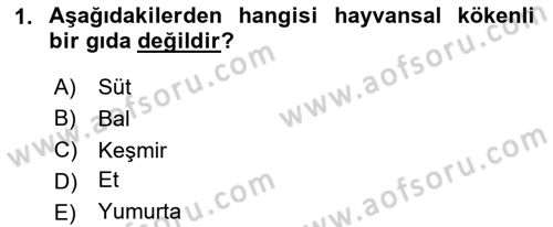 Hayvan Yetiştirme Dersi 2024 - 2025 Yılı (Vize) Ara Sınav Soruları 1. Soru