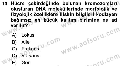 Hayvan Yetiştirme Dersi 2024 - 2025 Yılı (Vize) Ara Sınav Soruları 10. Soru