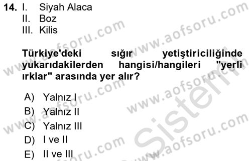 Hayvan Yetiştirme Dersi 2024 - 2025 Yılı (Vize) Ara Sınav Soruları 14. Soru
