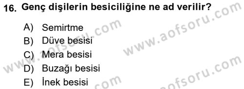Hayvan Yetiştirme Dersi 2024 - 2025 Yılı (Vize) Ara Sınav Soruları 16. Soru