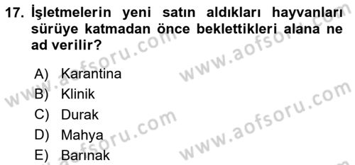 Hayvan Yetiştirme Dersi 2024 - 2025 Yılı (Vize) Ara Sınav Soruları 17. Soru