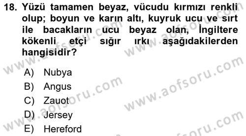 Hayvan Yetiştirme Dersi 2024 - 2025 Yılı (Vize) Ara Sınav Soruları 18. Soru