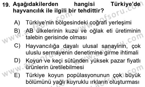 Hayvan Yetiştirme Dersi 2024 - 2025 Yılı (Vize) Ara Sınav Soruları 19. Soru