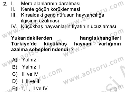 Hayvan Yetiştirme Dersi 2024 - 2025 Yılı (Vize) Ara Sınav Soruları 2. Soru