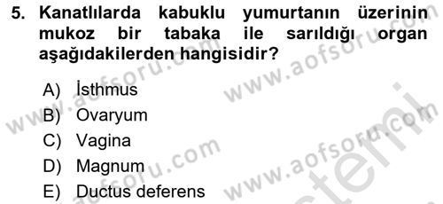 Hayvan Yetiştirme Dersi 2024 - 2025 Yılı (Vize) Ara Sınav Soruları 5. Soru