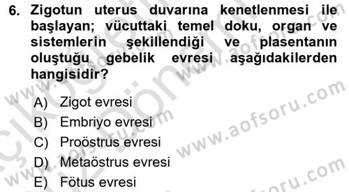 Hayvan Yetiştirme Dersi 2024 - 2025 Yılı (Vize) Ara Sınav Soruları 6. Soru