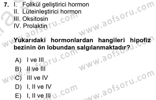 Hayvan Yetiştirme Dersi 2024 - 2025 Yılı (Vize) Ara Sınav Soruları 7. Soru