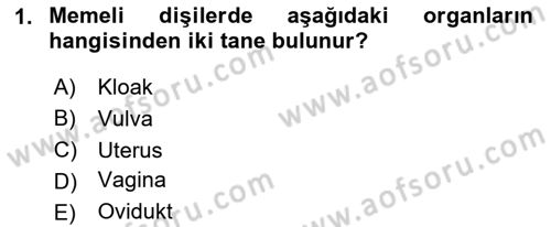 Hayvan Yetiştirme Dersi 2024 - 2025 Yılı (Final) Dönem Sonu Sınav Soruları 1. Soru