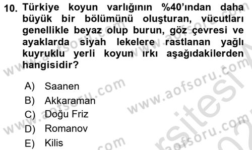 Hayvan Yetiştirme Dersi 2024 - 2025 Yılı (Final) Dönem Sonu Sınav Soruları 10. Soru
