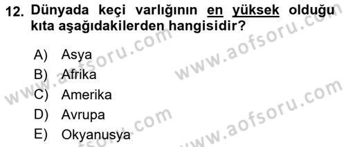Hayvan Yetiştirme Dersi 2024 - 2025 Yılı (Final) Dönem Sonu Sınav Soruları 12. Soru