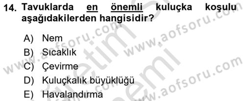 Hayvan Yetiştirme Dersi 2024 - 2025 Yılı (Final) Dönem Sonu Sınav Soruları 14. Soru