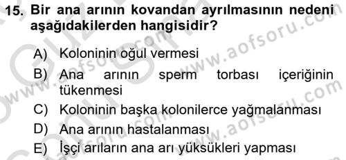 Hayvan Yetiştirme Dersi 2024 - 2025 Yılı (Final) Dönem Sonu Sınav Soruları 15. Soru