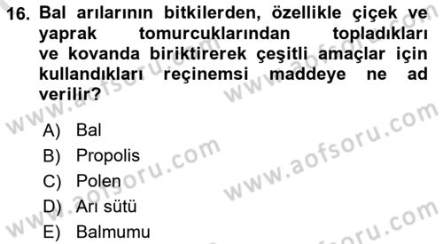 Hayvan Yetiştirme Dersi 2024 - 2025 Yılı (Final) Dönem Sonu Sınav Soruları 16. Soru