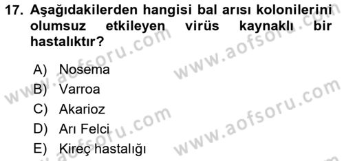 Hayvan Yetiştirme Dersi 2024 - 2025 Yılı (Final) Dönem Sonu Sınav Soruları 17. Soru