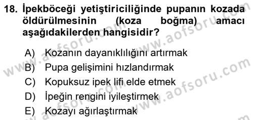 Hayvan Yetiştirme Dersi 2024 - 2025 Yılı (Final) Dönem Sonu Sınav Soruları 18. Soru