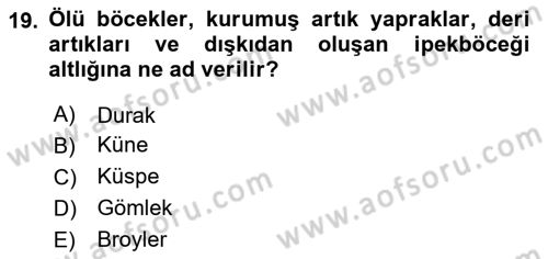 Hayvan Yetiştirme Dersi 2024 - 2025 Yılı (Final) Dönem Sonu Sınav Soruları 19. Soru