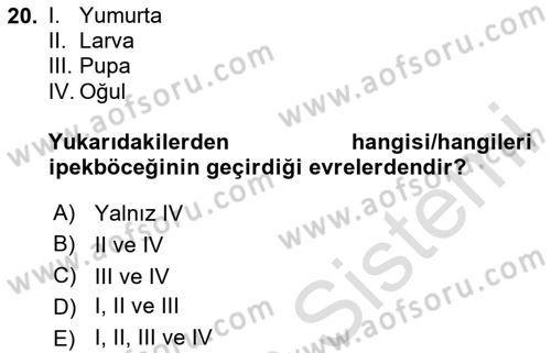 Hayvan Yetiştirme Dersi 2024 - 2025 Yılı (Final) Dönem Sonu Sınav Soruları 20. Soru