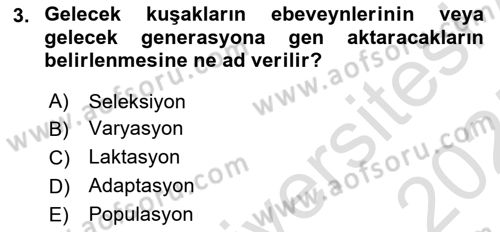 Hayvan Yetiştirme Dersi 2024 - 2025 Yılı (Final) Dönem Sonu Sınav Soruları 3. Soru