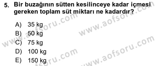 Hayvan Yetiştirme Dersi 2024 - 2025 Yılı (Final) Dönem Sonu Sınav Soruları 5. Soru