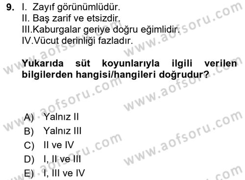 Hayvan Yetiştirme Dersi 2024 - 2025 Yılı (Final) Dönem Sonu Sınav Soruları 9. Soru