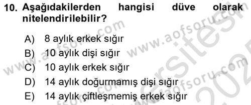 Hayvan Yetiştirme Dersi 2024 - 2025 Yılı Yaz Okulu Sınav Soruları 10. Soru