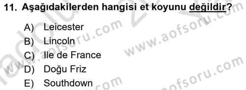Hayvan Yetiştirme Dersi 2024 - 2025 Yılı Yaz Okulu Sınav Soruları 11. Soru