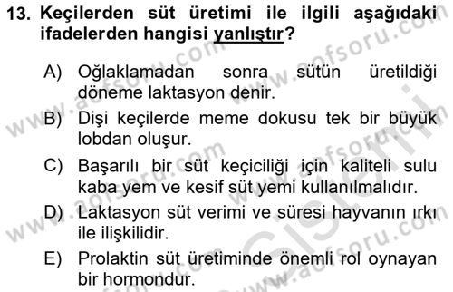 Hayvan Yetiştirme Dersi 2024 - 2025 Yılı Yaz Okulu Sınav Soruları 13. Soru