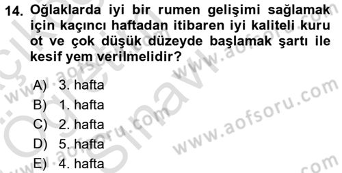 Hayvan Yetiştirme Dersi 2024 - 2025 Yılı Yaz Okulu Sınav Soruları 14. Soru