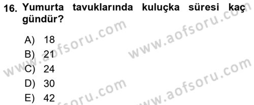 Hayvan Yetiştirme Dersi 2024 - 2025 Yılı Yaz Okulu Sınav Soruları 16. Soru