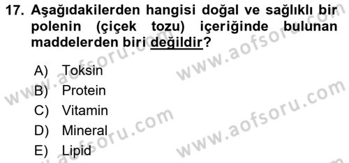 Hayvan Yetiştirme Dersi 2024 - 2025 Yılı Yaz Okulu Sınav Soruları 17. Soru