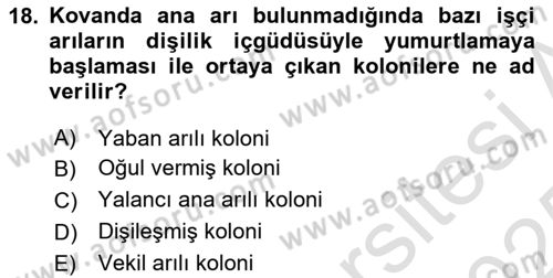 Hayvan Yetiştirme Dersi 2024 - 2025 Yılı Yaz Okulu Sınav Soruları 18. Soru