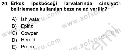 Hayvan Yetiştirme Dersi 2024 - 2025 Yılı Yaz Okulu Sınav Soruları 20. Soru