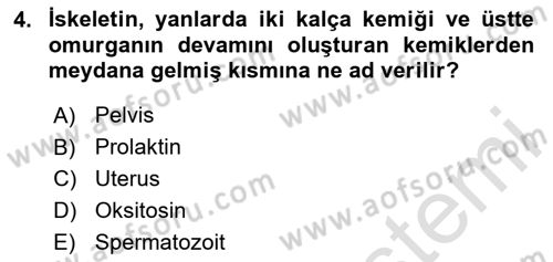 Hayvan Yetiştirme Dersi 2024 - 2025 Yılı Yaz Okulu Sınav Soruları 4. Soru