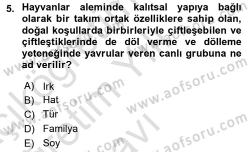 Hayvan Yetiştirme Dersi 2024 - 2025 Yılı Yaz Okulu Sınav Soruları 5. Soru