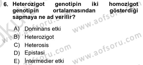 Hayvan Yetiştirme Dersi 2024 - 2025 Yılı Yaz Okulu Sınav Soruları 6. Soru